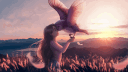 banner