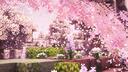  fairytales |  ⋆ ― Banner