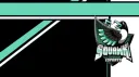 SQUAWK!!! Esports banner