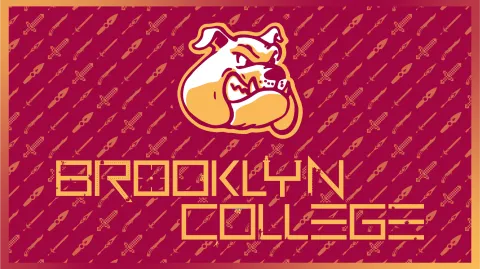 Brooklyn College Esports and Gaming Club banner