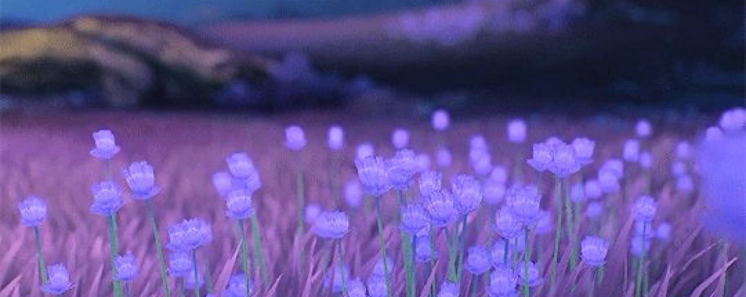 Mirjam Banner