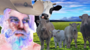 Cream Posting Discord server banner