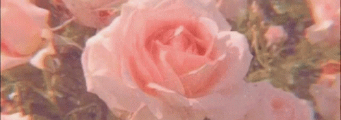 megan.luwiii Banner