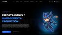 TMR Esports Banner