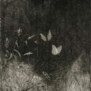 PWNM Discord server banner