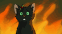 Kitty Gang banner
