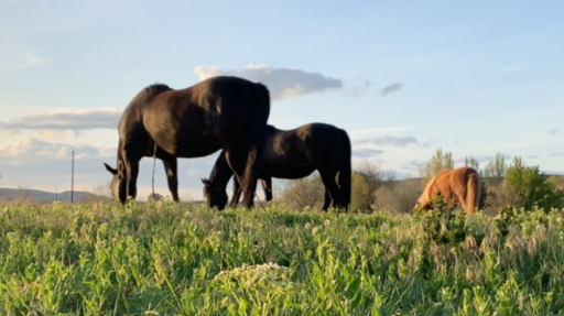 Legion Discord server banner