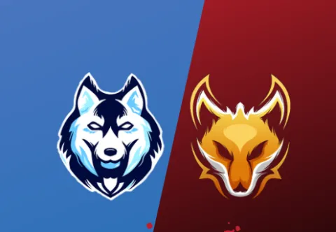 Fox.Group - Fox Finance University banner