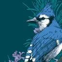The Birdcage banner
