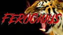 Ferocious Gaming banner
