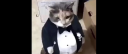 Morozen's Madlads Discord server banner