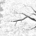‧͙⁺˚*･༓ 𝕄𝕪 ℝ𝕖𝕒𝕝𝕚𝕥𝕪 ༓･*˚⁺‧͙ Banner