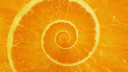 clem banner