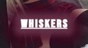 Whiskers | Social • Anime • Fun • Chill • Nitro • Emotes • Emojis • Gaming • Music • Talk • Egirls. Banner
