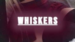 Whiskers | Social • Anime • Fun • Chill • Nitro • Emotes • Emojis • Gaming • Music • Talk • Egirls. server banner