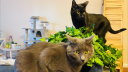 Tina's friends Discord server banner