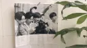 ౨ৎ ⋆ love bangtan banner