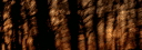 Tay 𑣲𝄞's profile banner