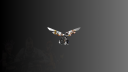 OGR Network™ Discord server banner
