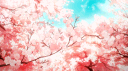 🌸心羽 あん🌸 banner