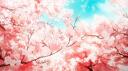 心羽 あん Banner