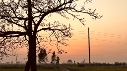 LITTLE PUNJAB | ESTD. 2021 server banner