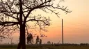 LITTLE PUNJAB | ESTD. 2021 Discord server banner