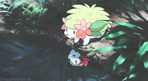 bunny Banner