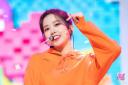∿　 　yujin's stonk market !! Banner