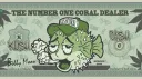 Kush Corals #TANKDANK. banner