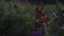 ๐ชป cafรฉ roleplay. server banner