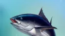 Big Tuna Official Server banner