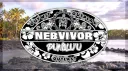Nebvivor Hub banner