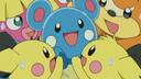 PICHU BROS POSSE Banner