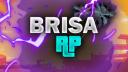Brisa RP 2.0 Banner