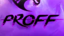 Professional Team banner
