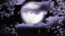 Hana | YETKİLİ ALIM! Discord server banner