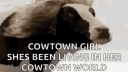 DancingCow banner