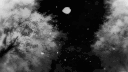 𝙕 𝙂𝙪𝙞𝙡𝙙 暫時關閉 banner