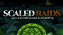 Scaled Raids Discord server banner