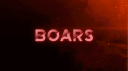BOARS banner