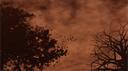 Multi-rp Group Server Banner