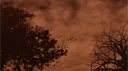 Devil's Order banner