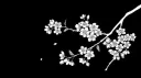 𝐓𝐡𝐞 𝐓𝐫𝐞𝐞𝐡𝐨𝐮𝐬𝐞🌲 banner