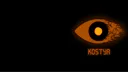 Kostya's party banner