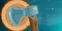 Chiselchip banner