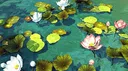 The Pond Discord server banner