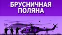 БРУСНИЧНАЯ ПОЛЯНА  Banner