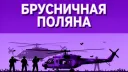 БРУСНИЧНАЯ ПОЛЯНА 🌿 banner
