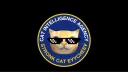 Stronk Cat Intelligence Agency banner